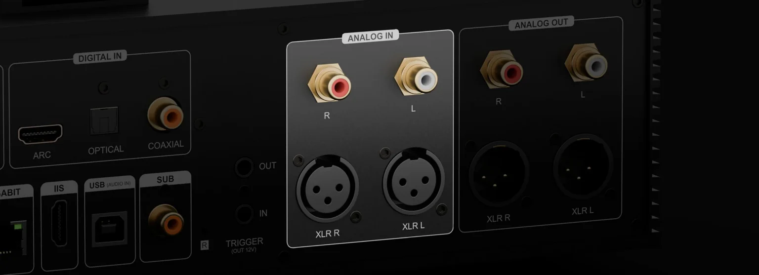Wejście Analogowe XLR/RCA